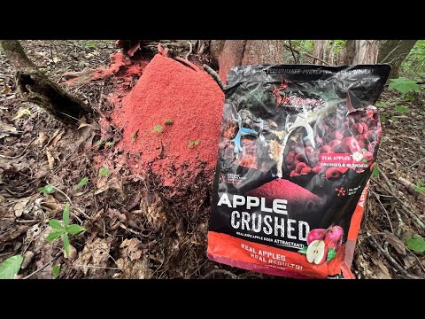 Crushed Apple Deer Attractant by Wildgame Innovations ( It Really Works )