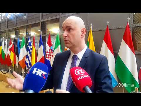 Tolušić o Istanbulskoj konvenciji