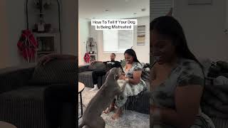 How to tell if your dog is being mistreated 😂