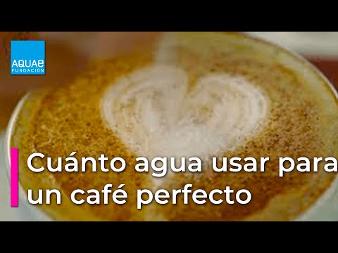 ¿Cúanta AGUA es necesaria para hacer un CAFÉ PERFECTO?