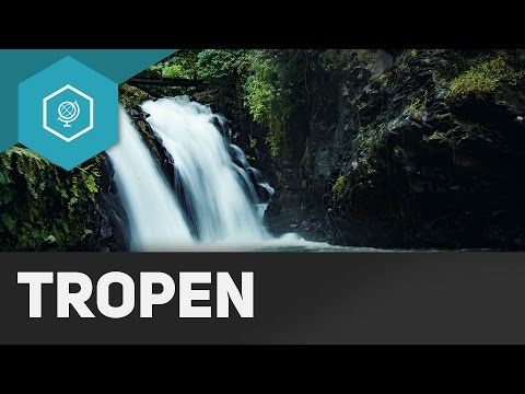 The Tropics l - Diurnal Climate - Climate Zones 2