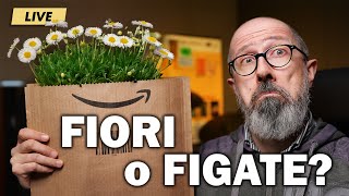 Festa delle Offerte di Primavera 2025: FIORI O FIGATE?