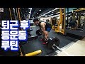 회사원 등운동 루틴│썸머벌크업 Ep01