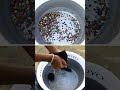 இதை செய்தால் இனி மீன் சாகாது Fishaquarium Fish Aquar
