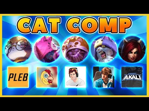 *CAT COMP 2019* THE CUTEST CAT COMP EVER (BATTLE CATS) - BunnyFuFuu