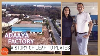 Journey of a Leaf to Plates: An amazing story of Palm Leaf Plate Manufacturer, Adaaya