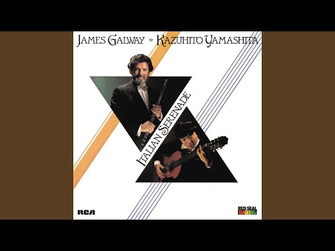 Serenade for Flute and Guitar: IV. Allegro giusto