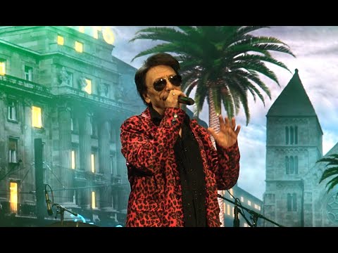 Angyalföldi pálmafák - Fenyő Miklós