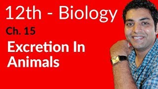 Fsc Biology Book 2 - Excretion In Animals - Ch 15 Homeostasis - 12th Class Biology