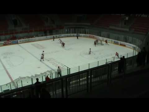 15. januar 2017: Jesenice - CZ 3:0