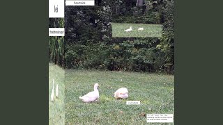 Cover art for What d you want me to do