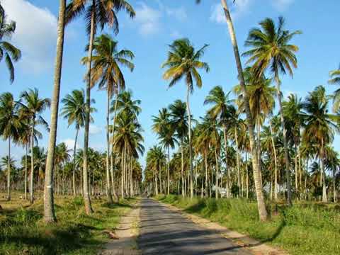 disponivel ,Chickera ft magrinho record