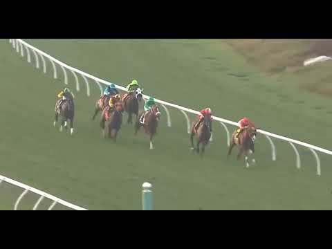 R9 DEL MAR 03 NOV 2025