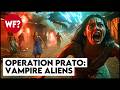 The Most Witnessed UFO Incident In History Operation Prato
