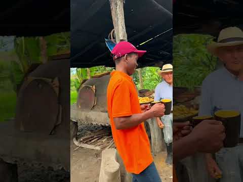 Familia joven orgullo Paicoleño #viralvideo #tradiciones #huila #paicol #viral