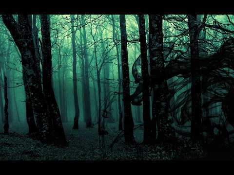 The Best of Black Sun Empire - Mixed