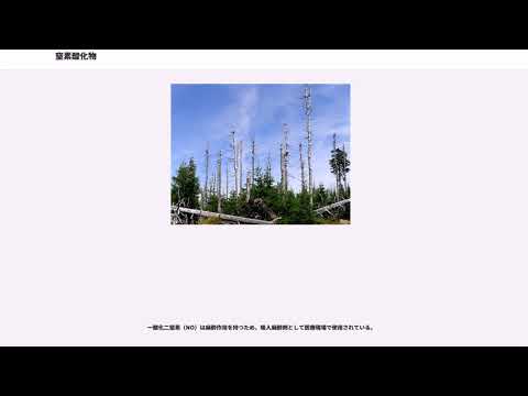 都市の大気中には窒素酸化物が多すぎる