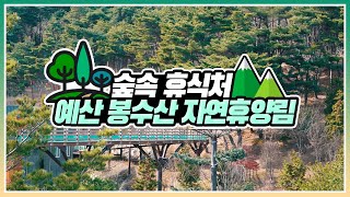 [#온택트숲여행] 숲속 휴식처 예산 봉수산 자연휴양림