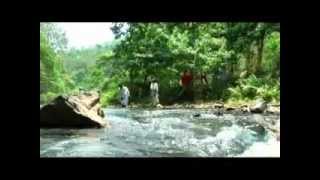 Attappadi  service part 1