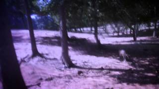 Lotte Kestner - Cliff (official)