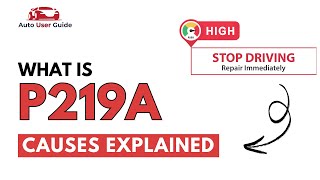 dtc p219a quickly Fix