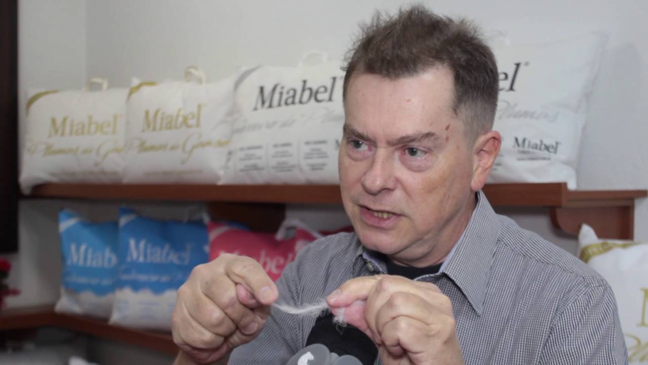 MIABEL PLUMAS E PENAS DE GANSO