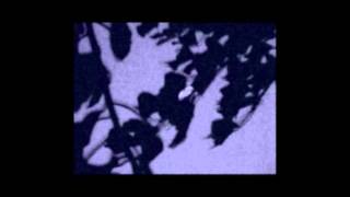 Stars Of The Lid - Requiem For Dying Mothers (part 2)