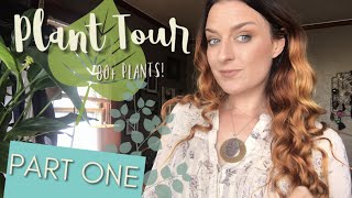 Plant Tour! Part 1 of 2 (Winter 2019)