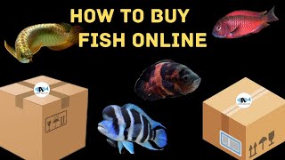 Rules Of Buying Fish Online 📦 || How We Delivered Fish All Over India🇮🇳🐟 || Refund Policy 🙋🏼‍♂️