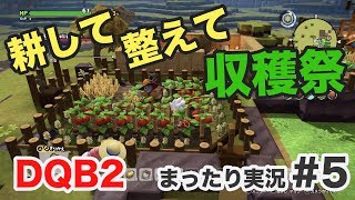 【DQB2まったり実況#5】畑を作って村をきれいにして…いよいよ収穫祭！！【ドラゴンクエストビルダーズ2】