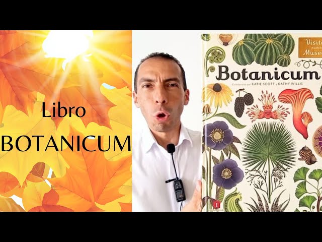 Vídeo relacionado con Las bondades de la naturaleza: Una visión pionera sobre los secretos y las virtudes de las plantas (Salamandra Miradas)