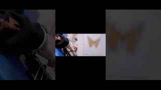 ヨルシカ LIVE TOUR 2025「盗作再演」盗作/創作セトリメドレー Guitar＆Basscover byフクレモ.  #盗作live  #キタニタツヤ【#盗作】【#ヨルシカ】【#盗作再演】