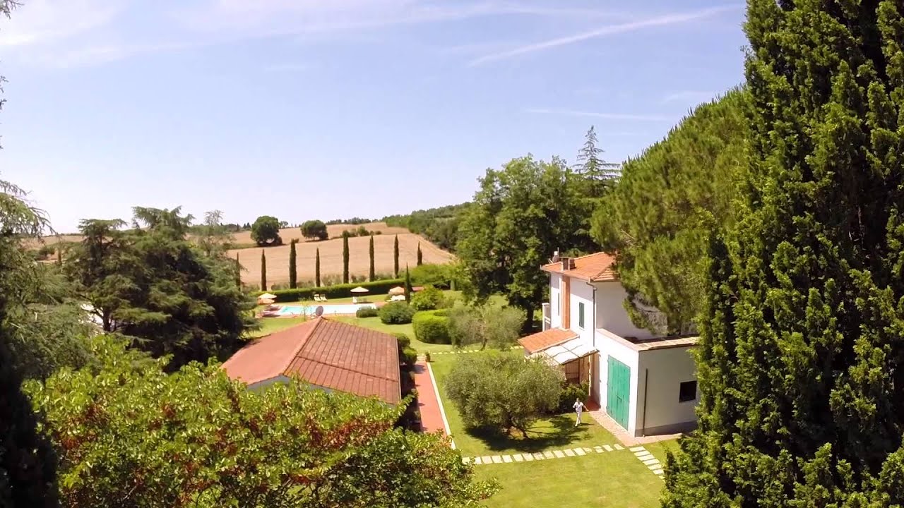 Video Ghiaccio Bosco