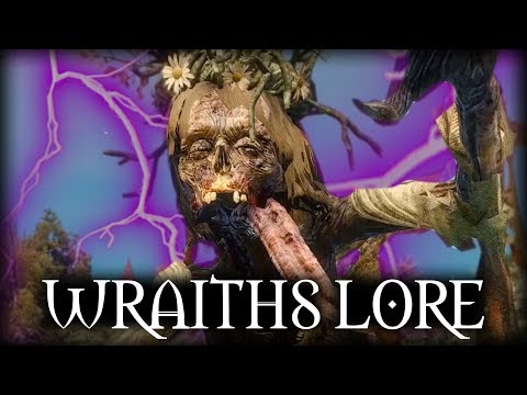 Witcher 3 - The Tragedy of Noonwraiths & Nightwraiths - Witcher Lore & Mythology