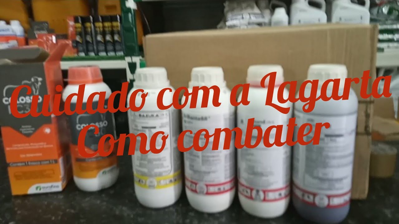 NÃO  USE QUALQUER VENENO PARA COMBATER A LAGARTA  DO CARTUCHO.