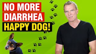 How to Stop Diarrhea in Dogs Naturally (Treatment, Remedies and Diet)