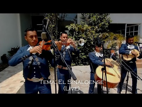 El Mariachi Alazán - El Sinaloense (Banda el Recodo)