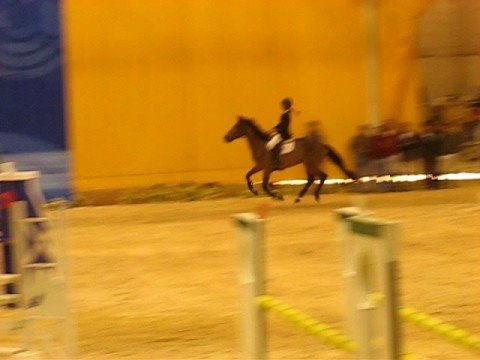 Terencio - Carolina Oliveira e Carmo - CNEMA