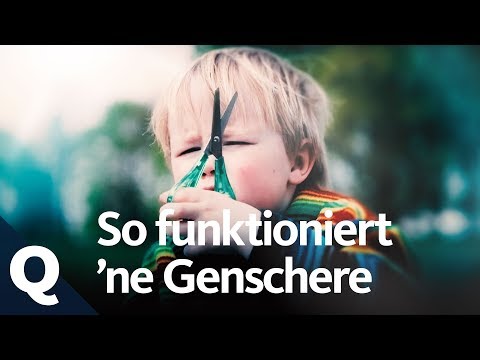 CRISPR!? Children explain the gene scissors | Quarks