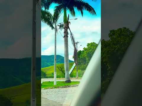 Monte Alegre -RJ fica localizado entre São José de Ubá-RJ e Santo Antônio de Pádua-RJ