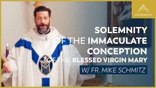 Solemnity of the Immaculate Conception of the Blessed Virgin Mary - Mass with Fr. Mike Schmitz