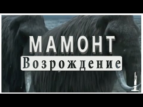 Возрождение мамонта. Клонирование мамонта. Revival of the mammoth. Cloning of the mammoth