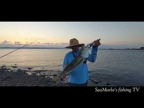 Striper bass & Bluefish lure casting