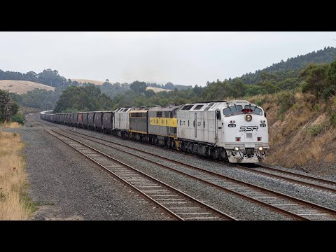 Up SSR grain and down APEX at Wandong