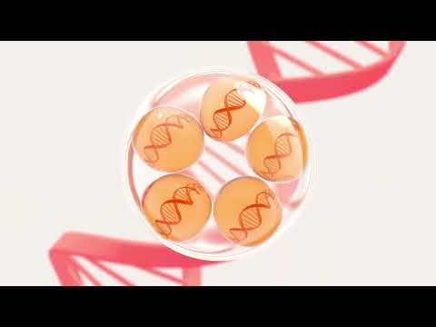 YouTube video xm-MzDoBoLA