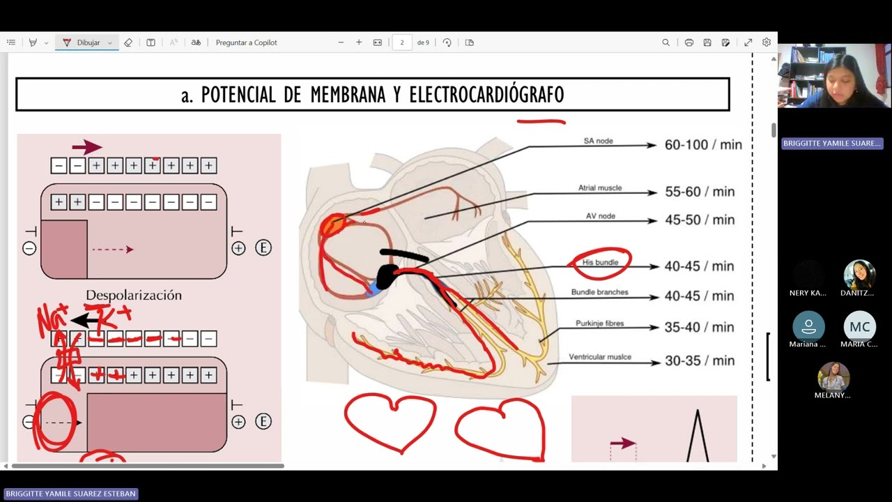 MEDICINA 1 - EKG