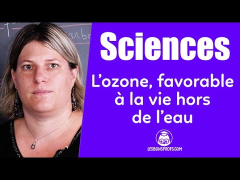 L'ozone favorable à la vie hors de l'eau