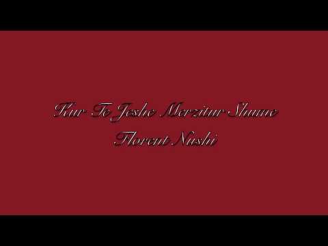 Kur te jesh merzitur shume - Florent Nushi.m4v