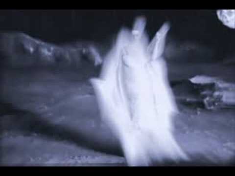 Moon River - Sarah Brightman Fan Video