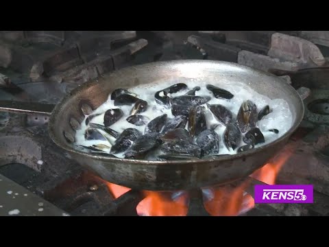 Feeling shellfish for some Mussels | Great Day SA